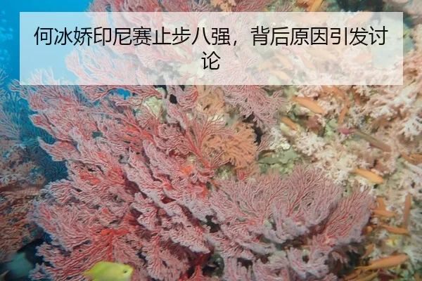 何冰娇印尼赛止步八强，背后原因引发讨论